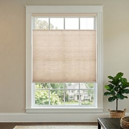 Light Filtering Cellular Shades
