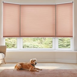 Light Filtering Cellular Shades