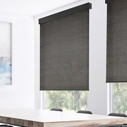 Classic Light Filtering Roller Shades