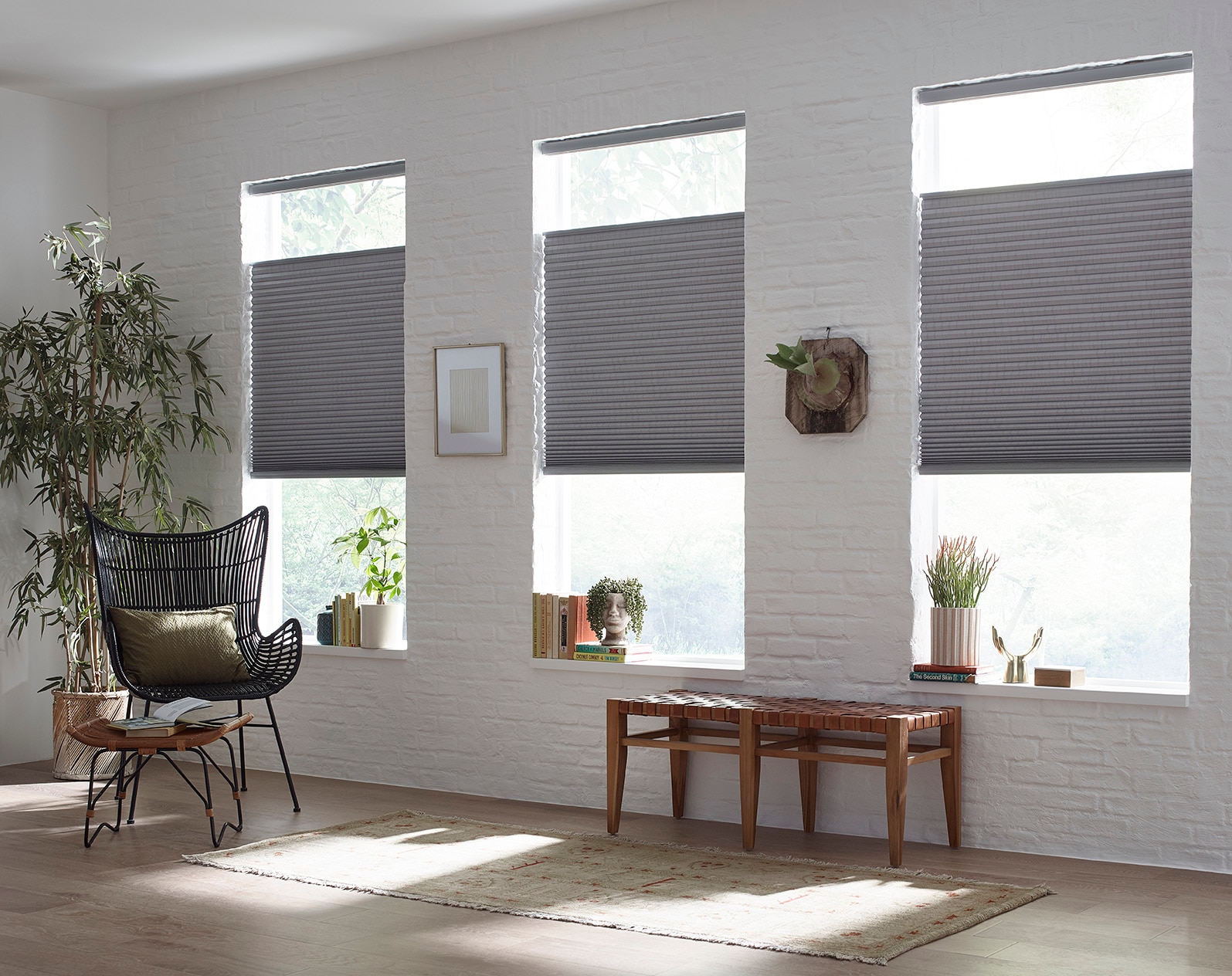 Blinds.com Blackout Cellular Shades | Blinds.com