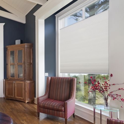 Light Filtering Cellular Shades | Blinds.com