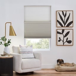 Alternate image for Budget Cordless Light Filtering Cellular Shades