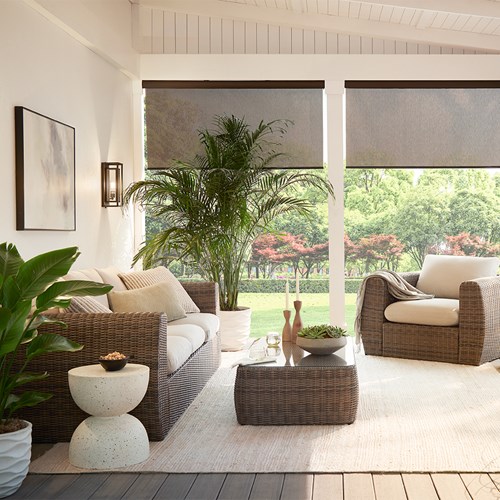 MYshade Blackout Roller Shades for Indoor Windows, Cordless Roller Window  Shades, Roll Up Window Blinds with Thermal Insulated, UV Protection, Easy  to