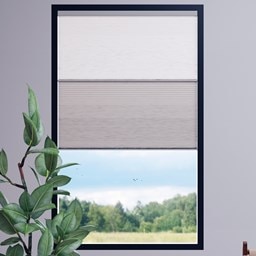 Budget Cordless Blackout Cellular Shades