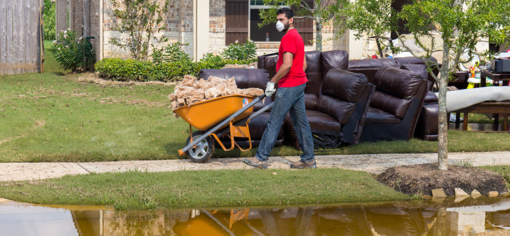 How To Clean Up A Home After A Flood And Prevent Mold - The Finishing Touch