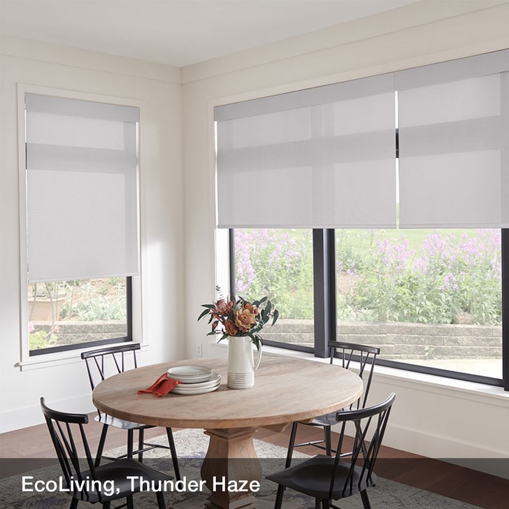 Color: EcoLiving Thunder Haze; Fold Style: Solar Shades; Lift: Cordless