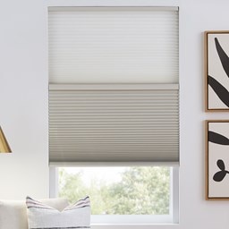 Budget Cordless Light Filtering Cellular Shades